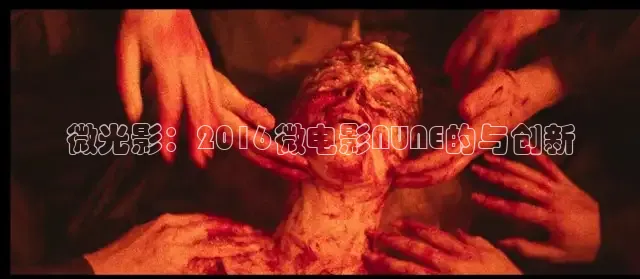 大象传媒视频看